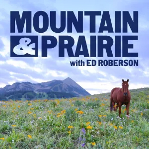 Mountain & Prairie Podcast Icon with logo and image of horse and mountain