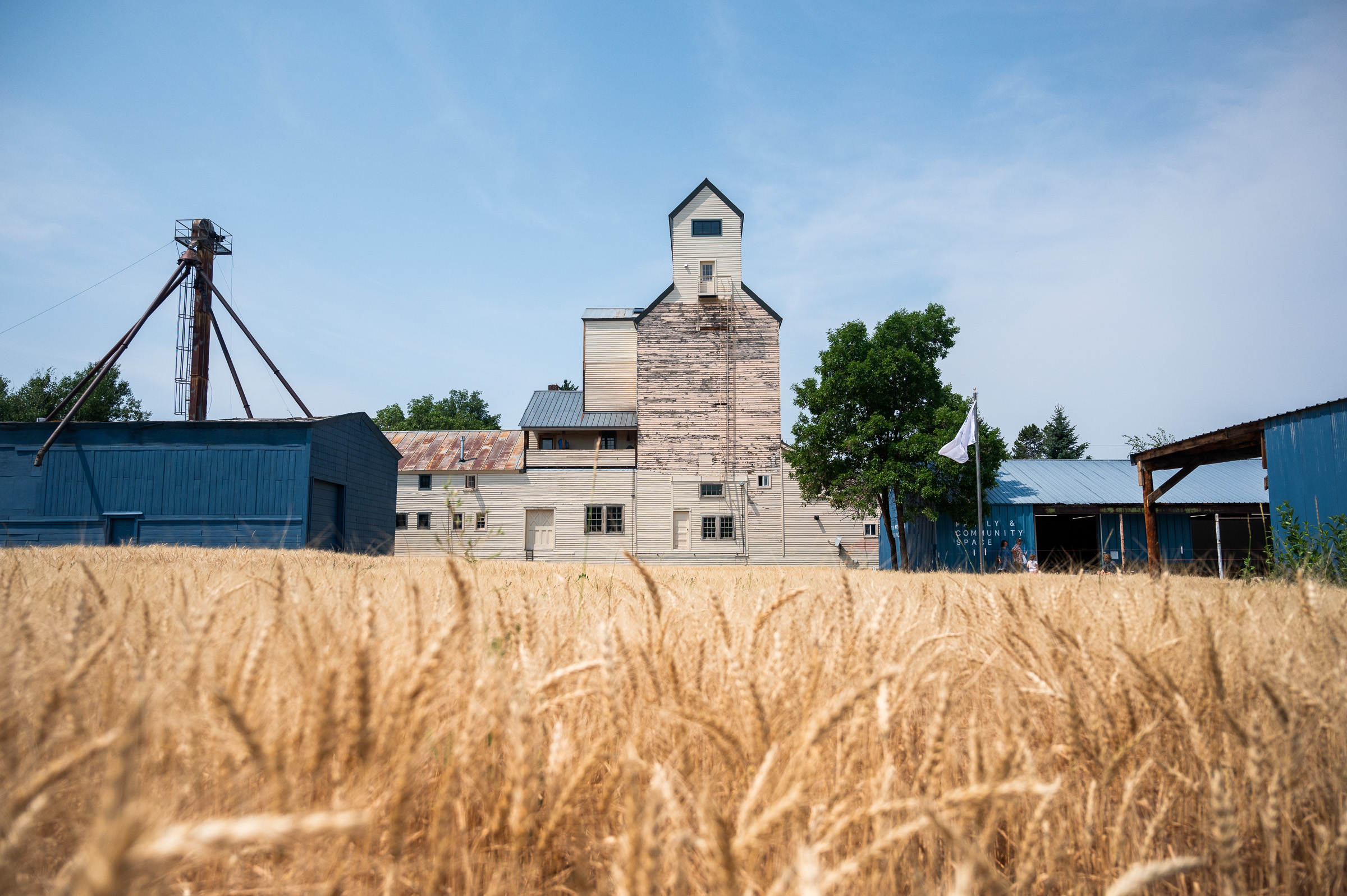 Harvest Among Houses