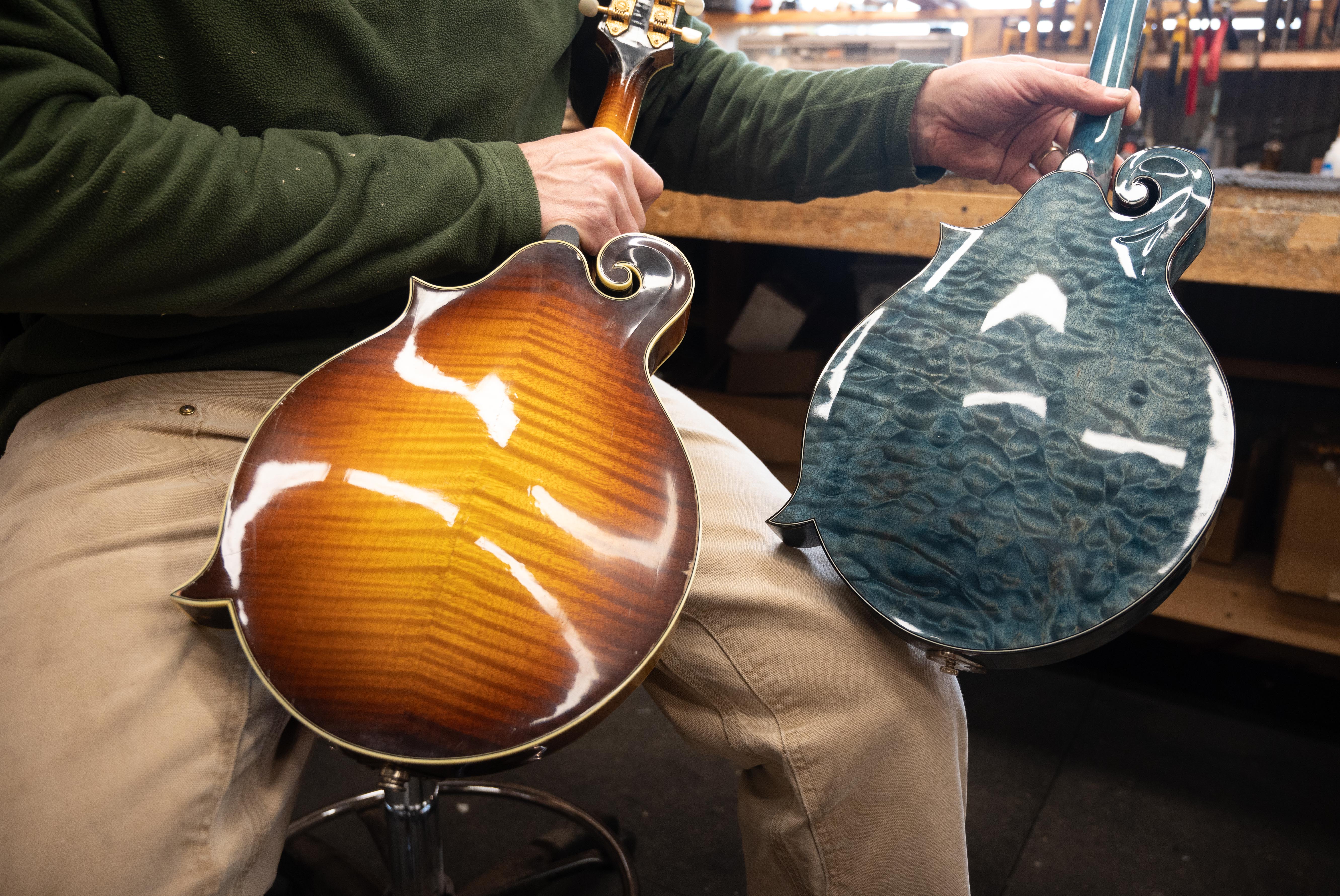 Mandolin backs